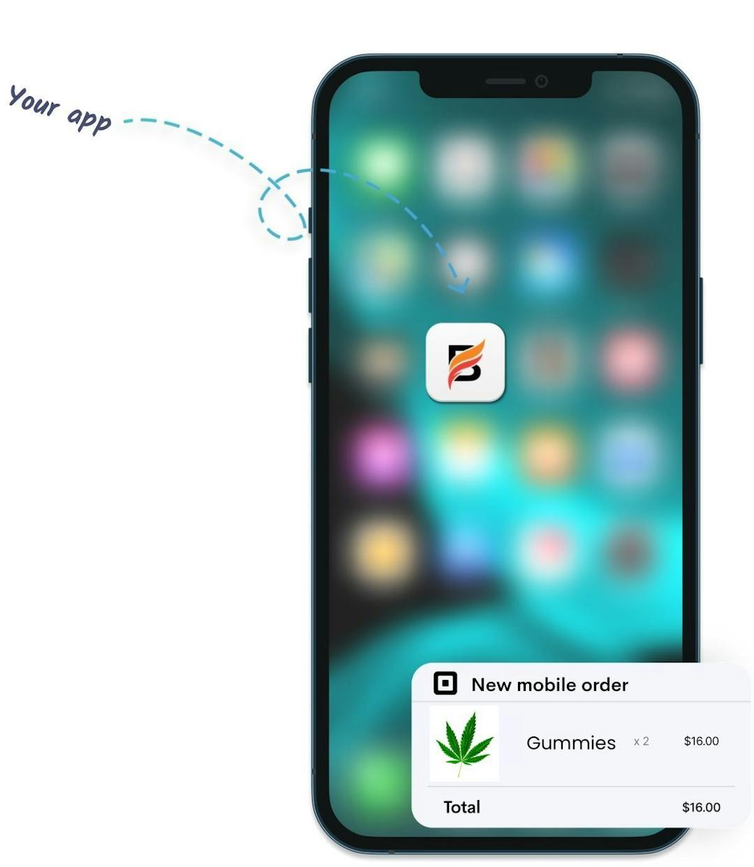 <h2 style="letter-spacing:-2.5px;line-height:70px">Mobile Ordering App for Cannabis Stores</h2>